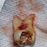 DUHANEY PARK MEDICAL AND DENTAL - Photo 4