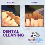 Power Smiles - Photo 2