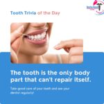 Burke Road Medical & Dental Centre Ltd. - Photo 3