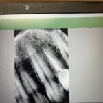 1st Gen Dental - Photo 7