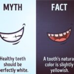 Shancare Health Services - Photo 7