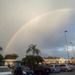 Oasis Plaza - Photo 6