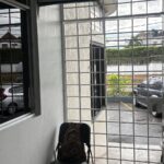 The Kidz Klinik - Photo 4