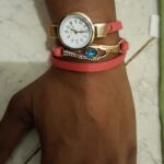 GoShore Courier - Photo 5