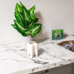 Astoria City Dental - Photo 7