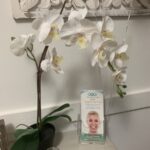 New Smile Astoria Dentistry: - Photo 5