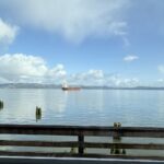 Leinassar Dental Excellence - Photo 4