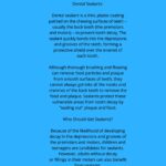 Village Dental Center - Photo 5