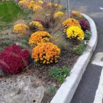 NewYork-Presbyterian Hospital - Photo 6