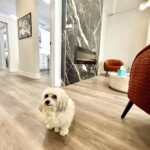 DentalQ – Best Dentists in Chicago, Lincoln Park & South Loop - Photo 3