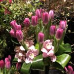 Mid-Manhattan Oral Surgery, PC - Photo 6