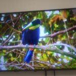 Martin Man DMD, Astha Patel DDS - Photo 7