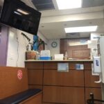 Centre Dental-中央牙科-曼哈顿 华人 牙科 牙医 根管治疗 牙医诊所 洗牙 牙齿矫正 植牙 拔牙 种植牙 种牙 医师 医生 诊所 矫正牙齿 推荐 - Photo 6