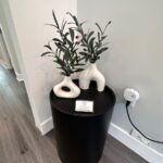 Greene Street Dental - Photo 7