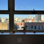 Grand Oral Surgery - Photo 2