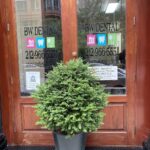 Dr. Faten Ahmed Dentist NY - Photo 2