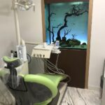 Dr. Viviane Trinh Dentist - Photo 4