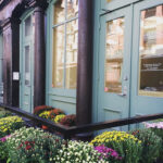 Bronsky Orthodontics - Tribeca - Photo 6