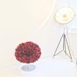 Astor Smile Dental - Photo 3