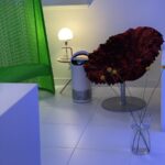 Astor Smile Dental - Photo 7