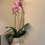 Madison Dental Loft - Photo 5