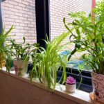 Transcendental NYC - Photo 4