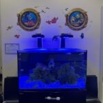 Dr. Jerry Ashrafi, DMD, MA, PLLC - Pediatric Dentist - Photo 1