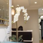 Midtown Dental Wellness - Photo 6