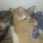 Yes Dental Urgant Care - Photo 6