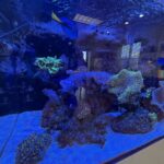 Washington Family Dentistry and Orthodontics - Photo 3