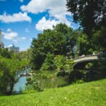 Oral & Maxillofacial Surgery of New York City - Photo 1