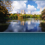 Central Park Oral & Maxillofacial Surgery - Photo 3