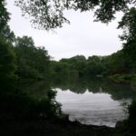 Central Park Oral & Maxillofacial Surgery - Photo 5