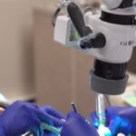 East Hills Endodontics - Photo 3