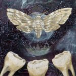 DENISE CRAIG Dental Hygienist - Photo 5