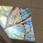 Herald Square Dental & The Denture Center - Photo 6