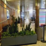 NYU College of Dentistry - Photo 7