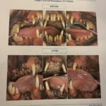 Pearly Bites Veterinary - Photo 3