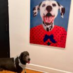 Pearly Bites Veterinary - Photo 5