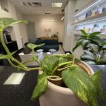 Koppelman Dental - Photo 5