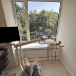 Pure Dental Care - Photo 6