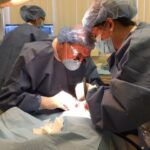 Stuart J. Froum, DDS - Photo 5