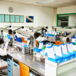 JL Dental Lab - Photo 1