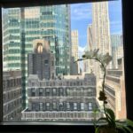 Pristine Dental - Photo 6