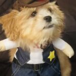 Bryant Park Dental Associates - Photo 7