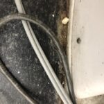 Healthy Smile - Photo 3