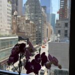 NYC Dental Smiles - Plaza District - Photo 4