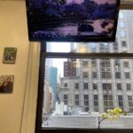 NYC Dental Smiles - Plaza District - Photo 5