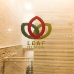 Leaf Dental - Photo 5