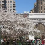 Craig T. Roberts DDS, PLLC - Photo 6